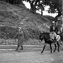 il ritorno dai campi